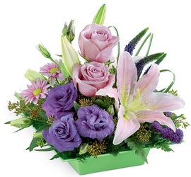 Lily For Your Thoughts Arrangement